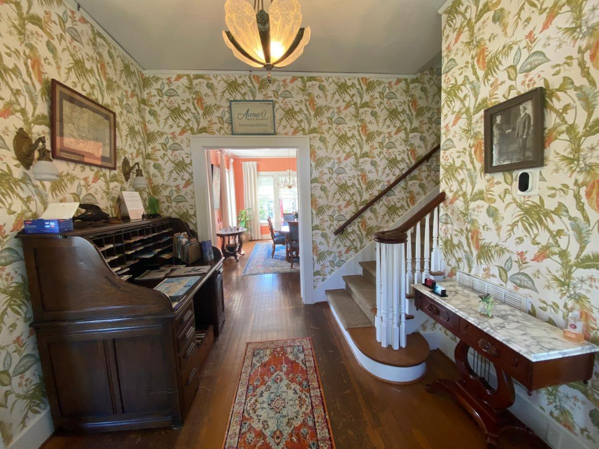 Avenue O Bed And Breakfast Galveston Exterior photo